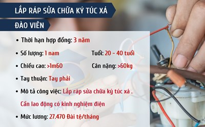 ĐƠN HÀNG LẮP RÁP SỬA CHỮA KÝ TÚC XÁ - ĐÀO VIÊN